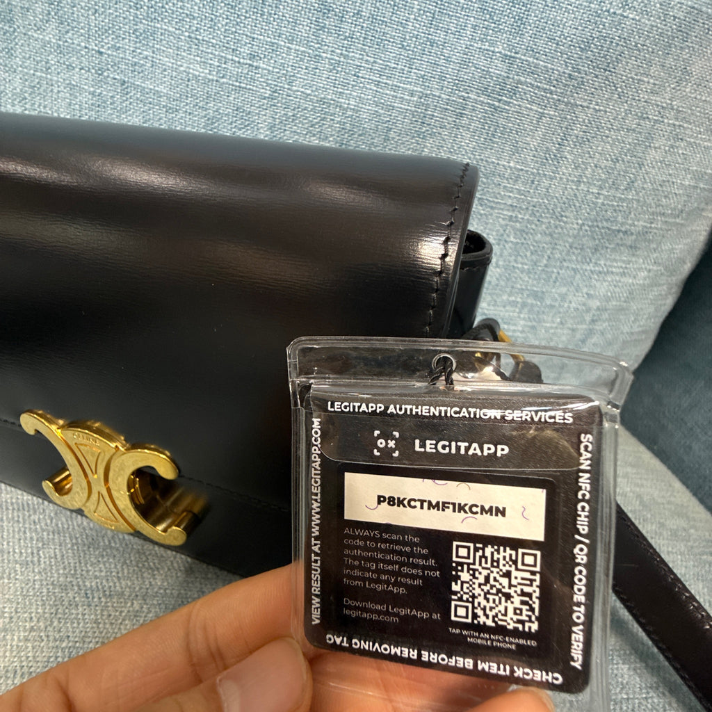 Celine Shiny Calfskin Triomphe Crossbody Bag