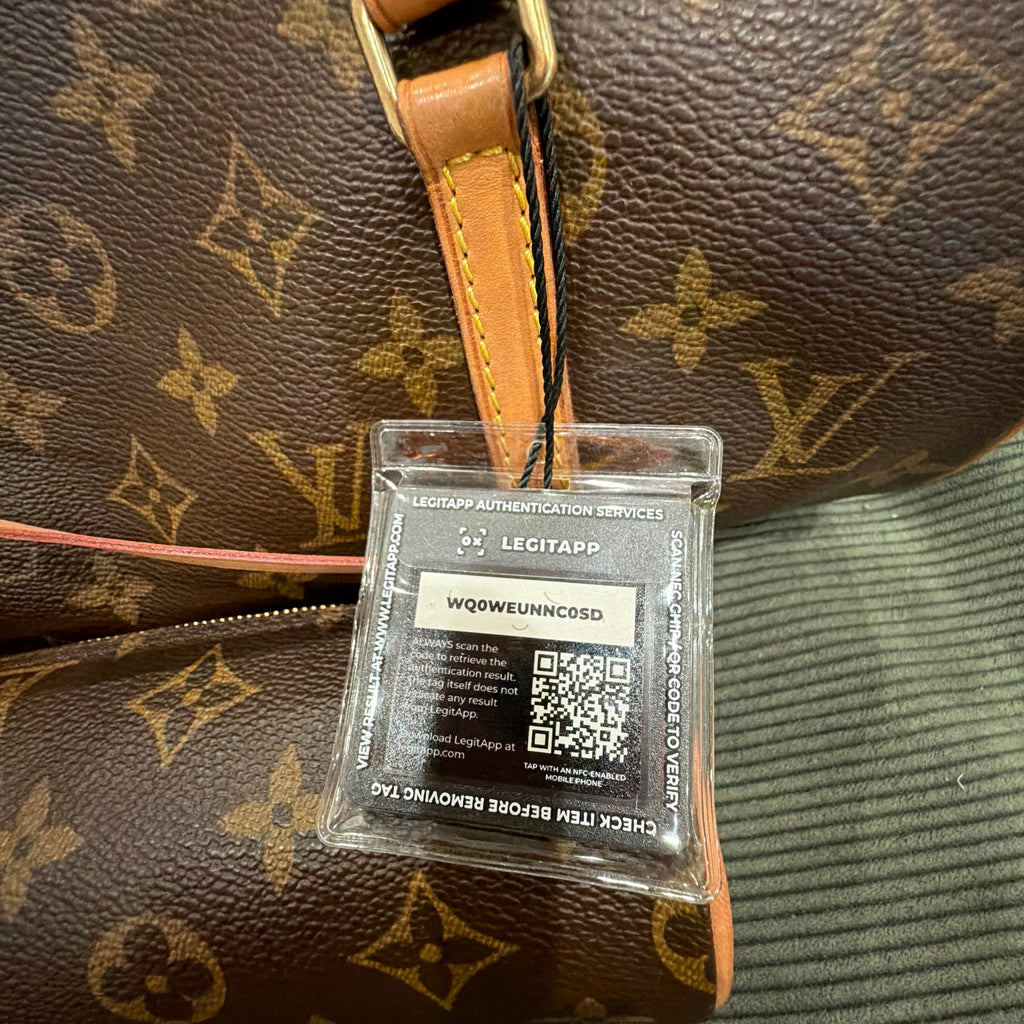 Louis Vuitton Monogram Canvas Papillon 30 Handbag
