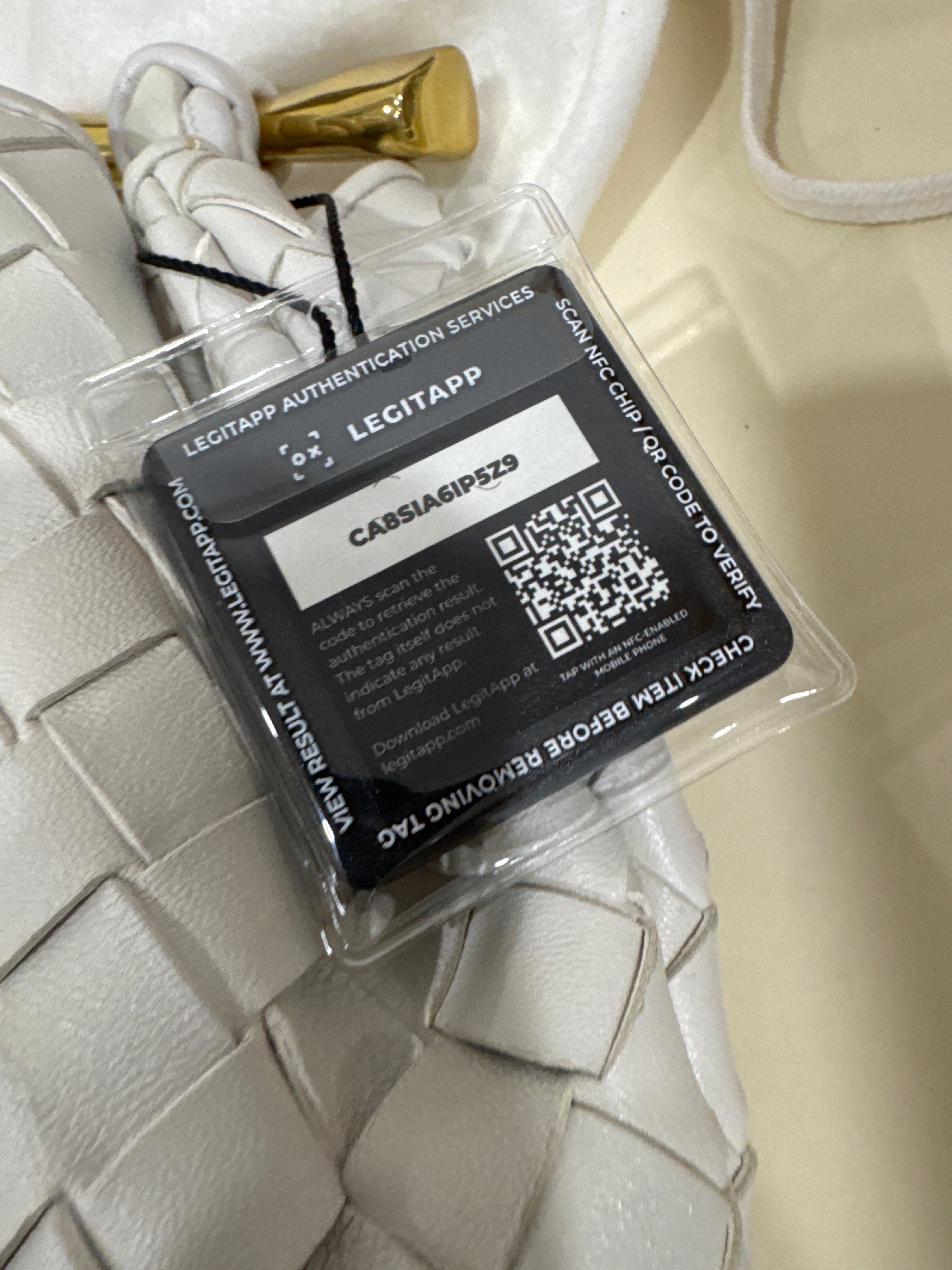 Bottega Veneta Sardine bag