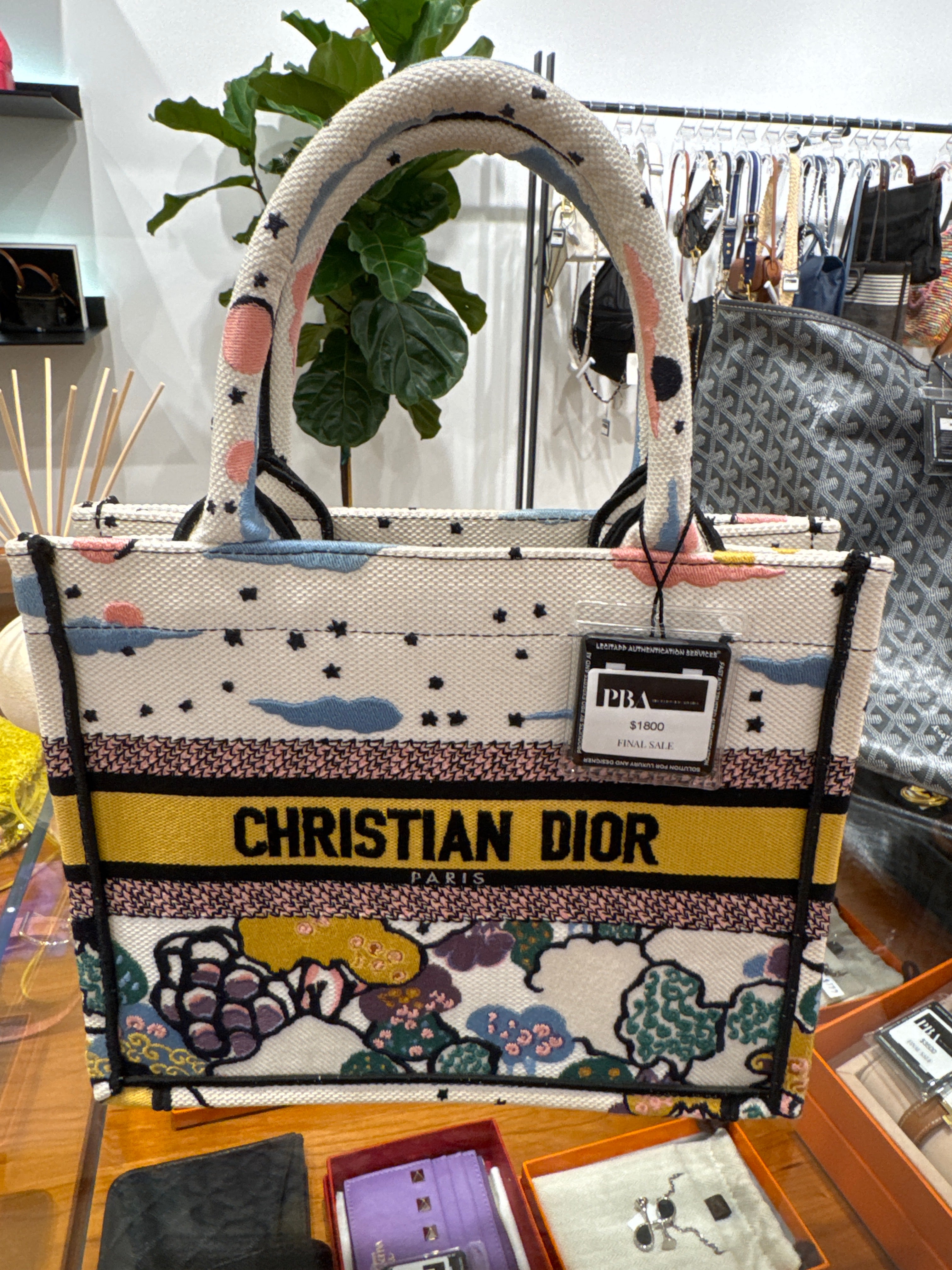 Dior Canvas Embroidered Ciel De Reve Small Book Tote