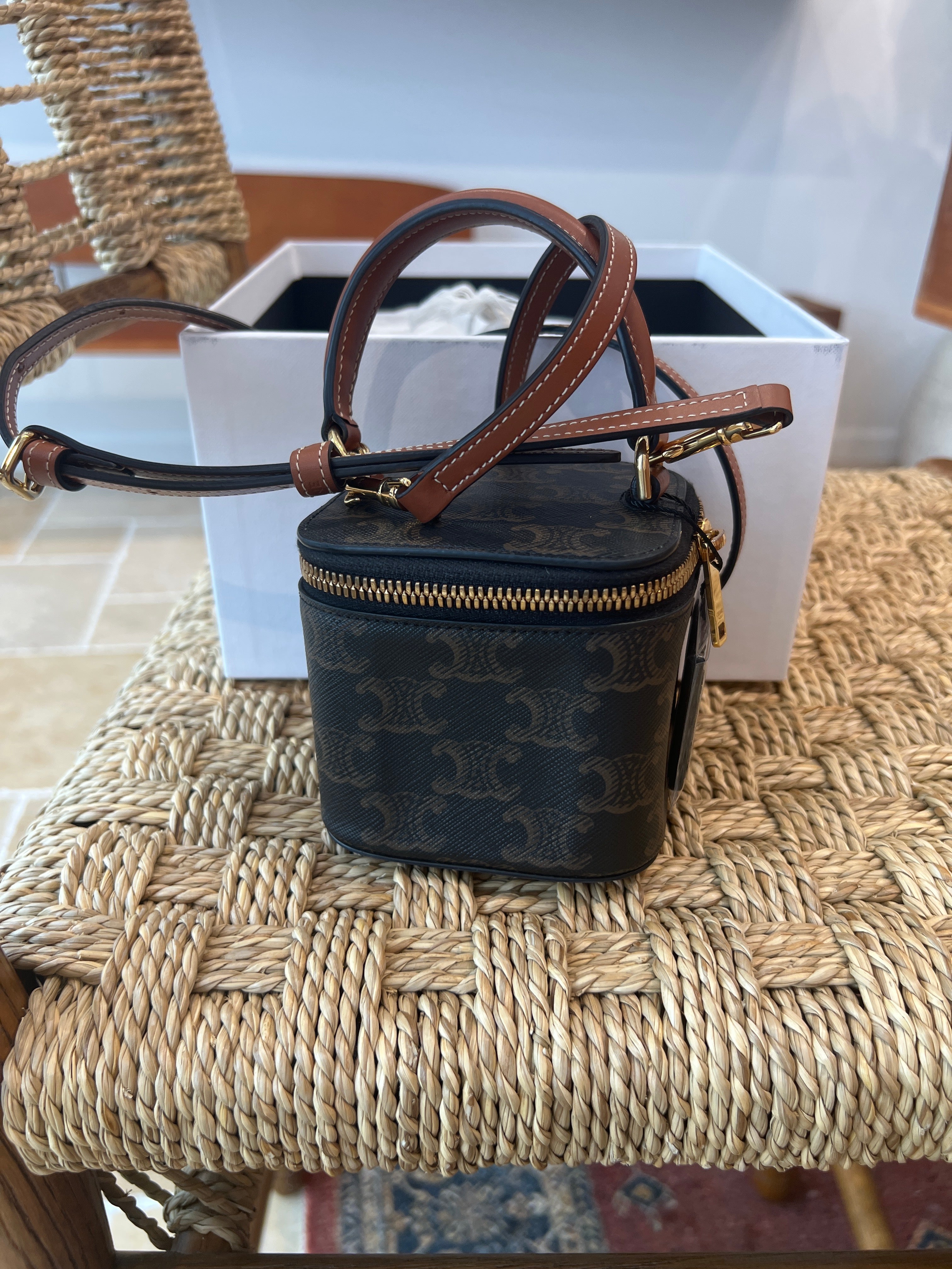 Celine Triomphe Mini Vanity Case